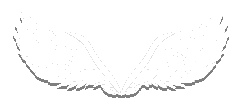 Spr solid AngelWings.png